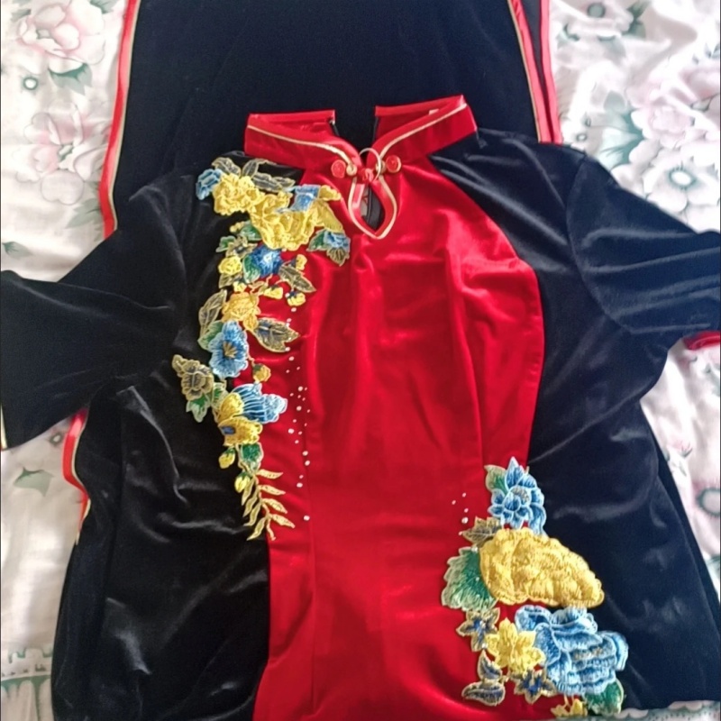 Feminino Vietnã Ao Dai Cheongs - Ao Dai Vietnam Dress avaliação e preço